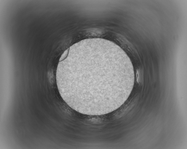 X0000111601395200908270959