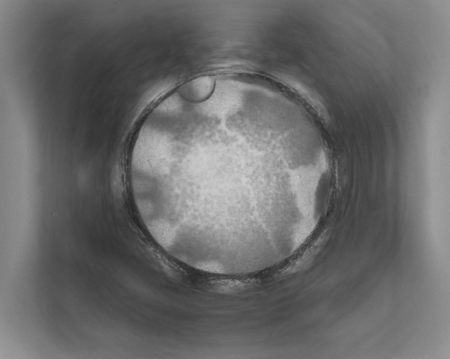 X0000111601405200908270959