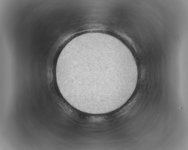 X0000111601407200908270959
