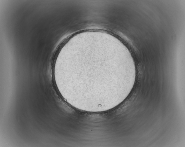 X0000111601408200908270959