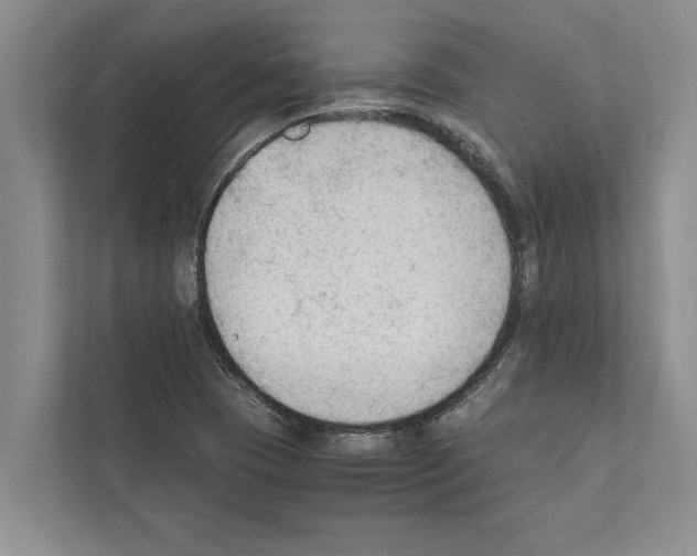 X0000111601409200908270959