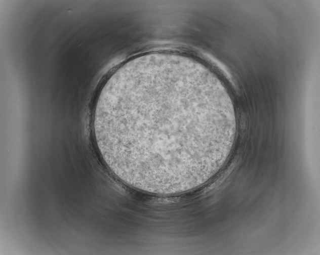 X0000111601411200908270959
