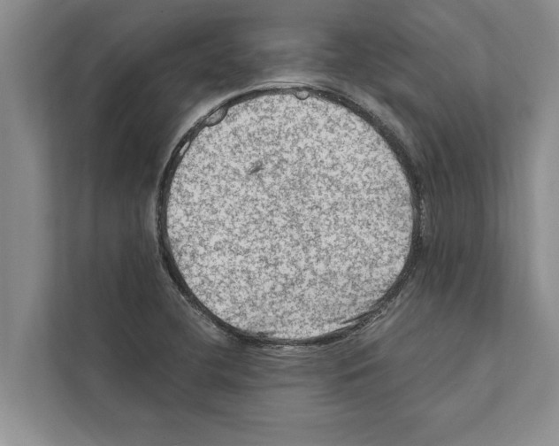 X0000111601412200908270959
