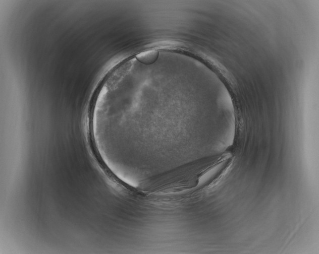X0000111601418200908270959