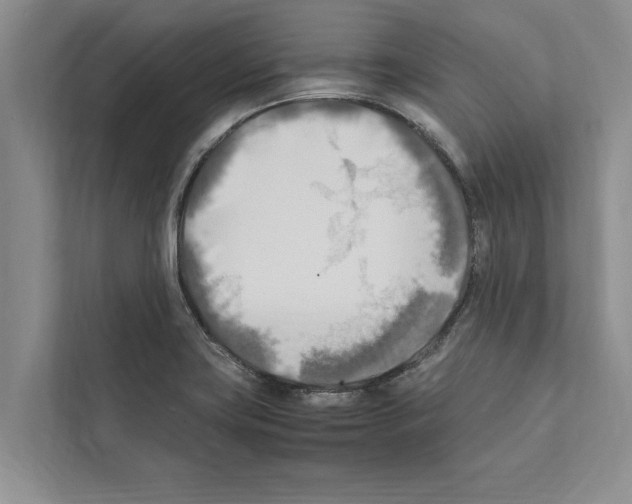 X0000111601419200908270959