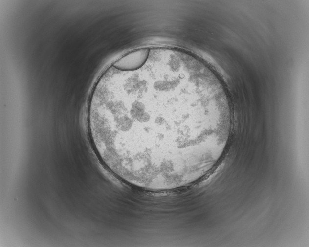 X0000111601421200908270959
