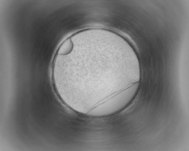 X0000111601424200908271000