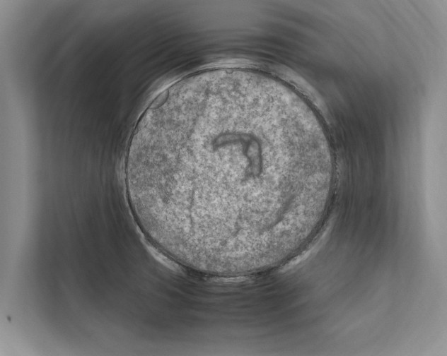 X0000111601425200908271000