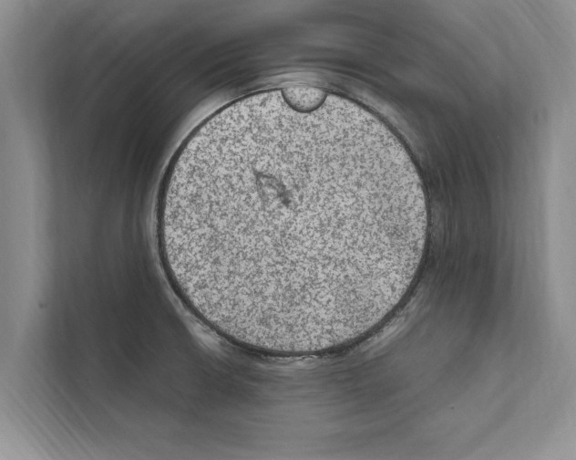 X0000111601426200908271000