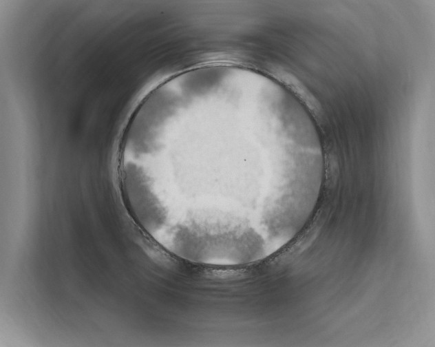 X0000111601427200908271000
