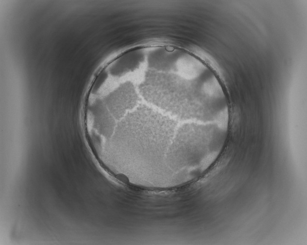X0000111601429200908271000