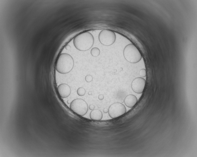 X0000111601432200908271000