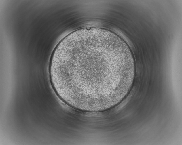 X0000111601434200908271000