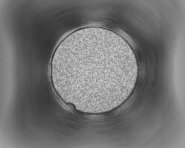 X0000111601436200908271000