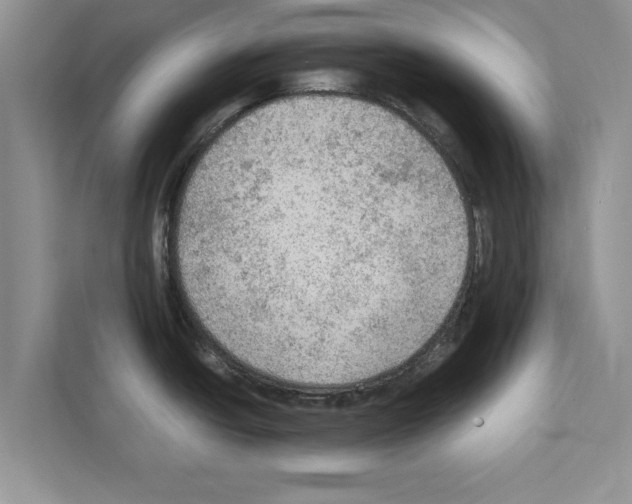 X0000111601438200908271000