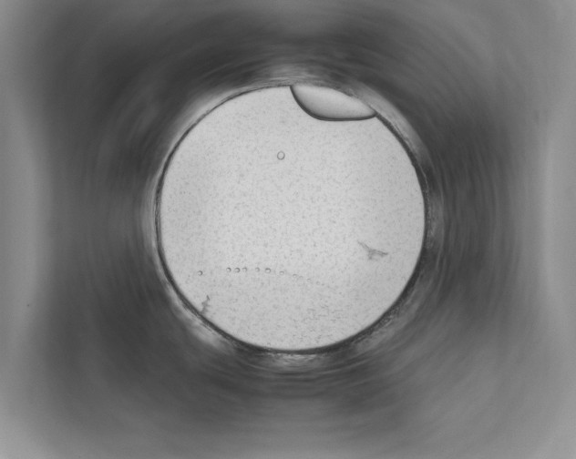 X0000111601439200908271000