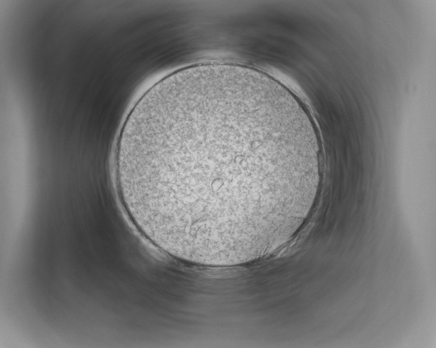 X0000111601440200908271000
