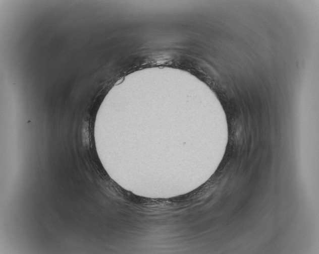 X0000111601442200908270959