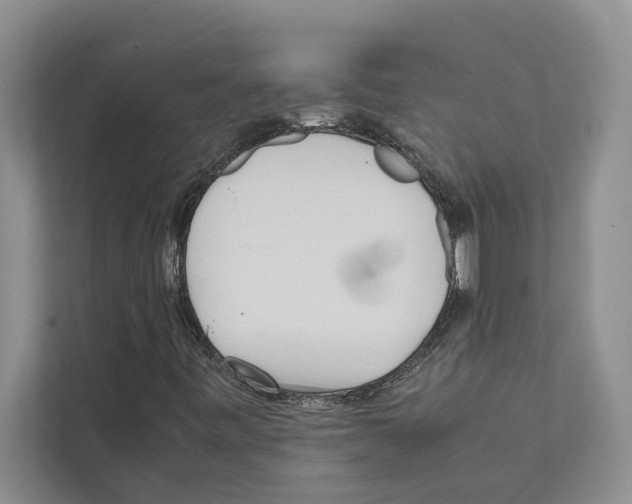 X0000111601443200908270959