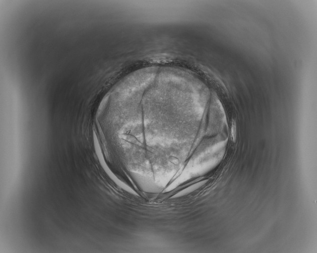 X0000111601444200908270959