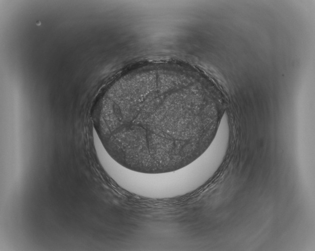 X0000111601445200908270959