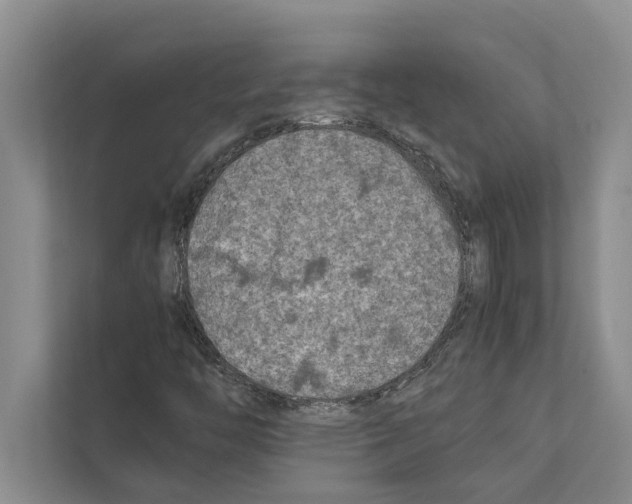 X0000111601446200908270959