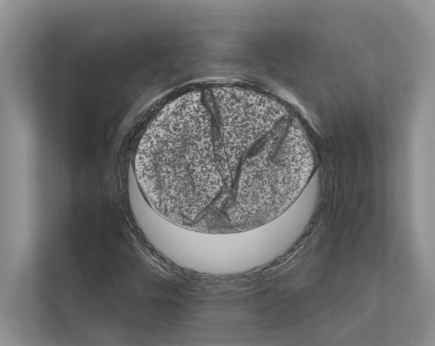 X0000111601448200908270959