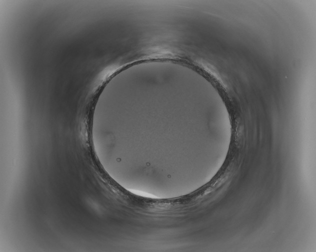 X0000111601455200908270959
