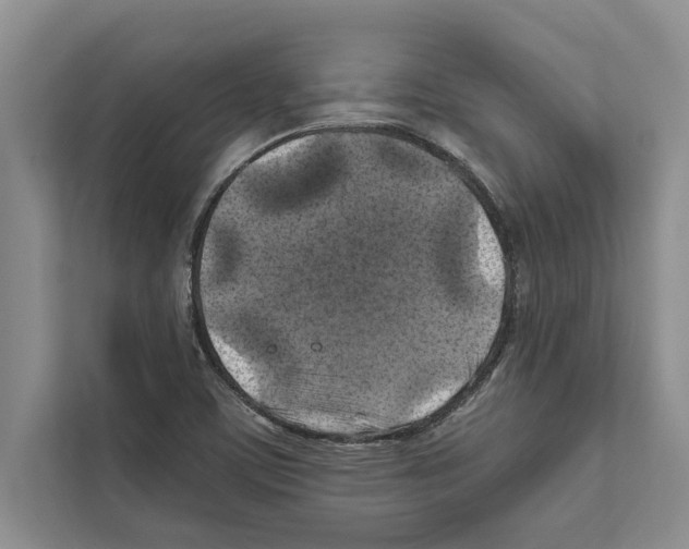 X0000111601459200908270959