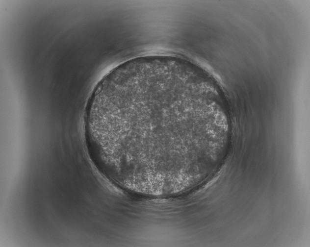 X0000111601463200908270959