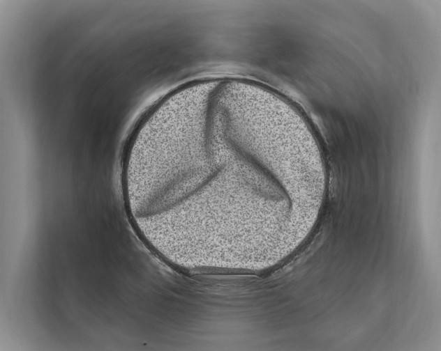 X0000111601464200908270959