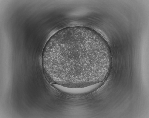 X0000111601465200908270959