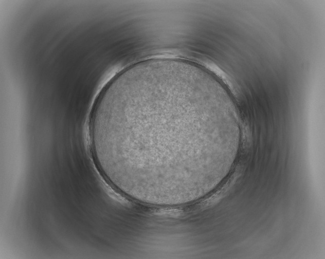 X0000111601466200908270959