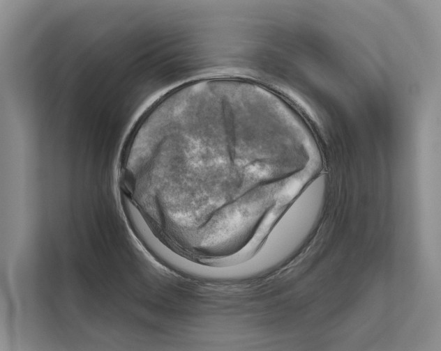 X0000111601468200908270959
