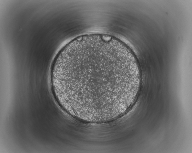 X0000111601469200908270959
