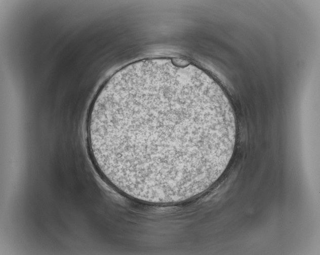 X0000111601471200908270959