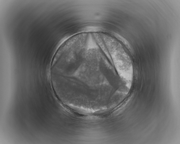 X0000111601473200908270959