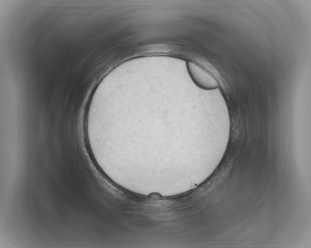 X0000111601475200908270959