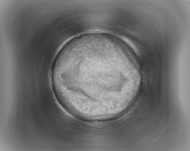 X0000111601476200908270959