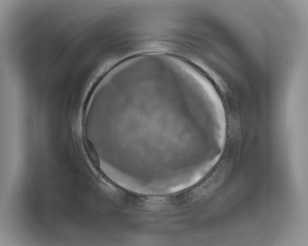 X0000111601477200908270959