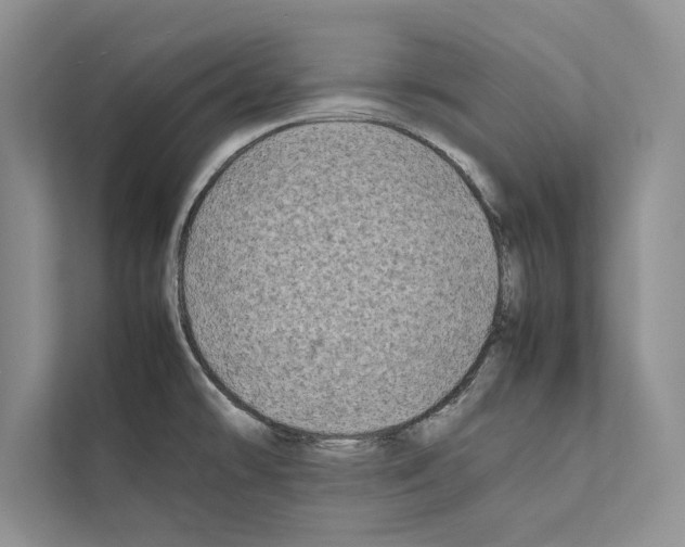 X0000111601478200908270959