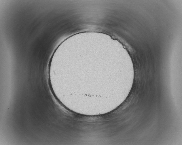 X0000111601479200908270959