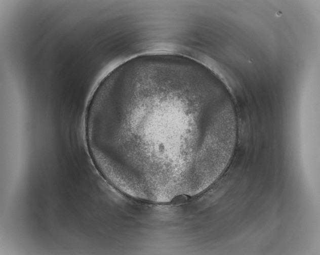 X0000111601480200908270959