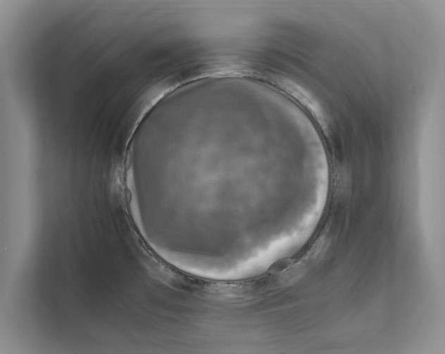 X0000111601481200908270959