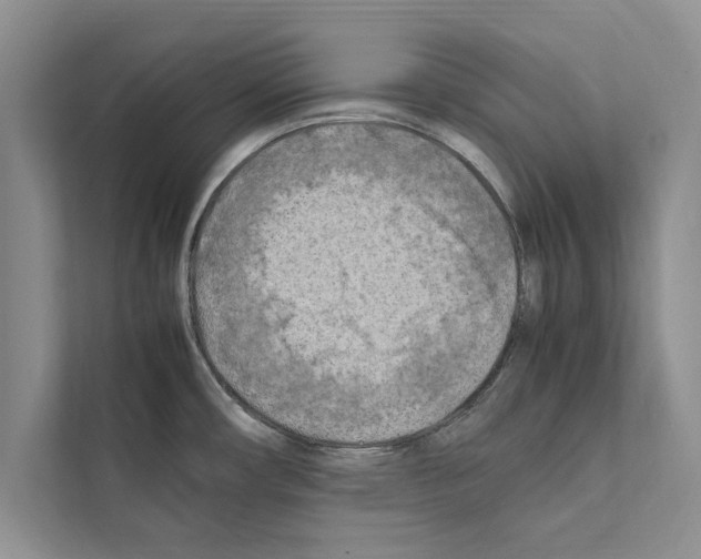X0000111601482200908270959