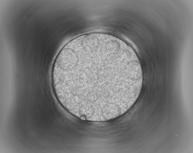 X0000111601483200908270959