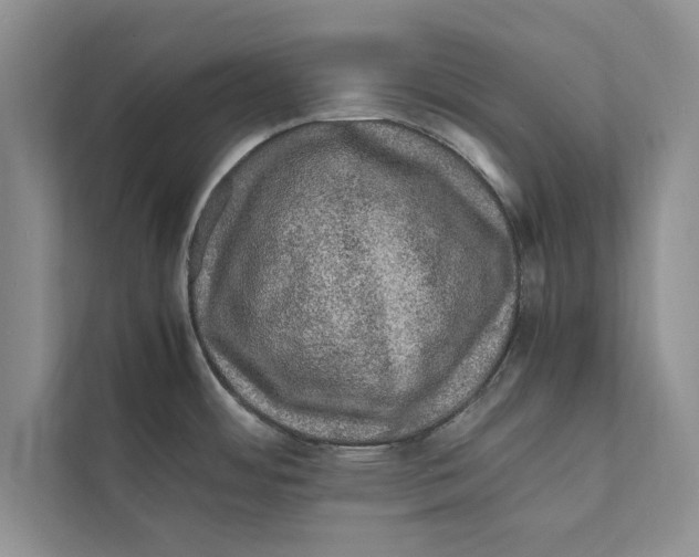 X0000111601484200908270959