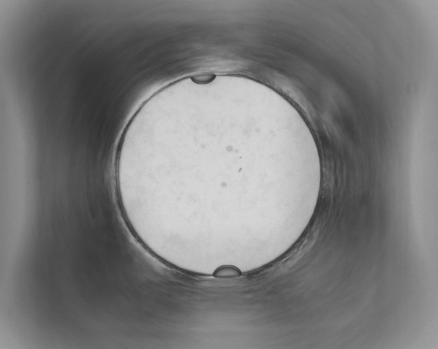 X0000111601487200908270959