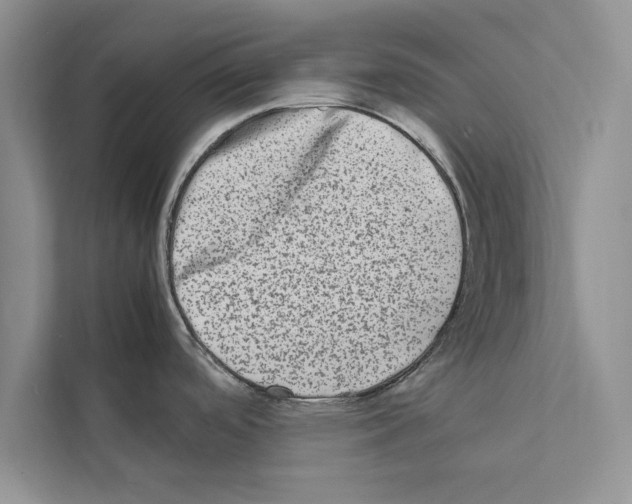 X0000111601488200908270959
