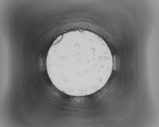 X0000111601491200908270958
